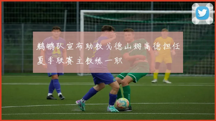 鹈鹕队宣布助教戈德山姆高德担任夏季联赛主教练一职